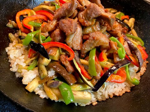 アウトドアの締めご飯 *鉄板焼き肉ビビンパ風*